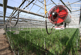 Tips on Using a Greenhouse Heater