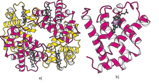 Protein Biochemistry: Quaternary Structure