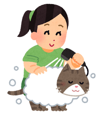 猫を洗う人のイラスト