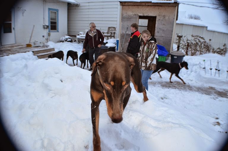 Grandma's baby takes Queen of the hill to stand by Grandma. (Photo by Trisha Field)