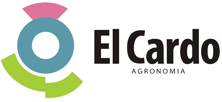 EL CARDO AGRONOMIA