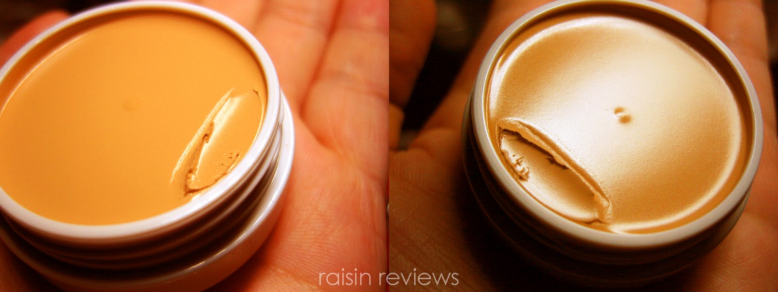 raisin reviews Shiseido Spotscover Foundation / Concealer
