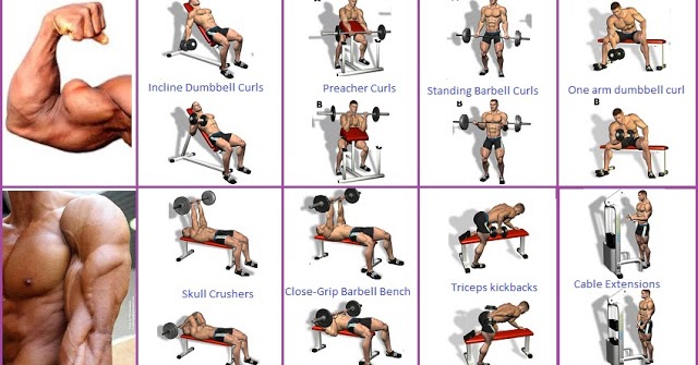 SEARCH AND BUY THIS PRODUCT Best Bicep Workout Program to Guarantee the Biggest Biceps