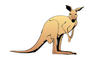 standing kangaroo