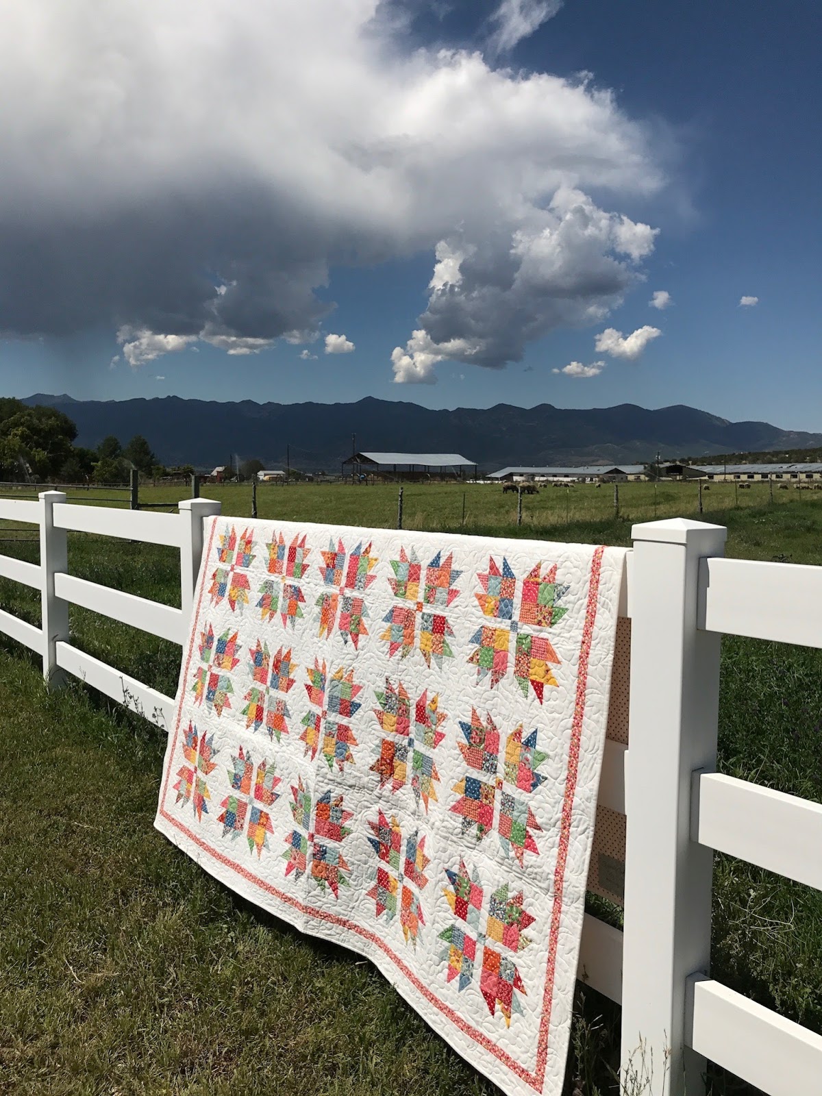 Kairle Oaks Virgin River Quilt Co. Bear Paw Quilt Blogger's Quilt