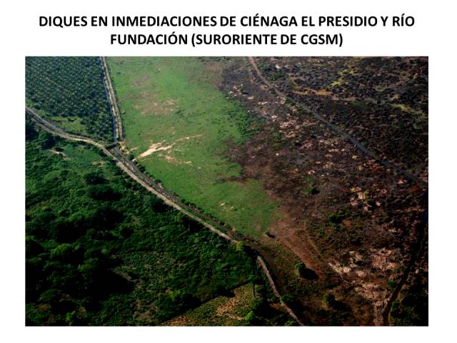 Destrucción ambiental de la Ciénaga Grande de Santa Marta