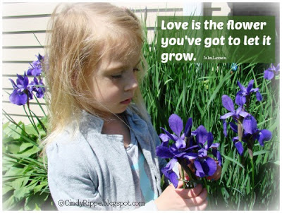 Love is the Flower - You've got to let it grow John Lennon quote, Emilie Barnes quote, Irises, grandchildren, love of gardening, Florals-Family-Faith, Cindy Rippe