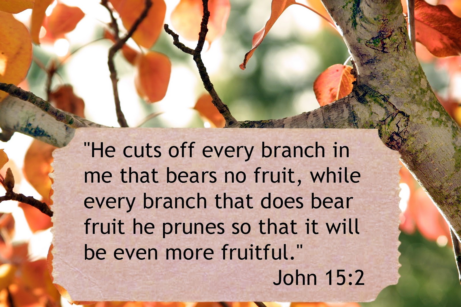 Every in a while. Every in a while. Ordinary life. Every in a while. Every in a while.