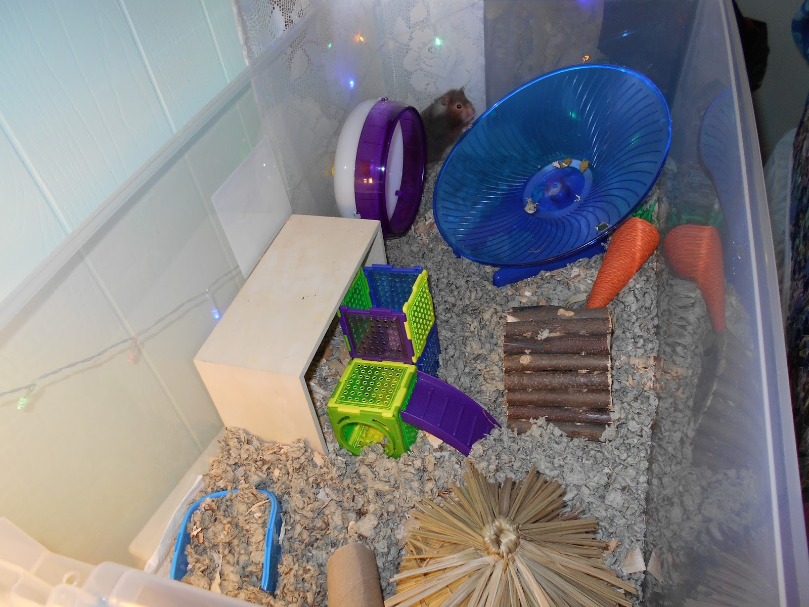 Crafty Kat Hamster Bin Cage Tour