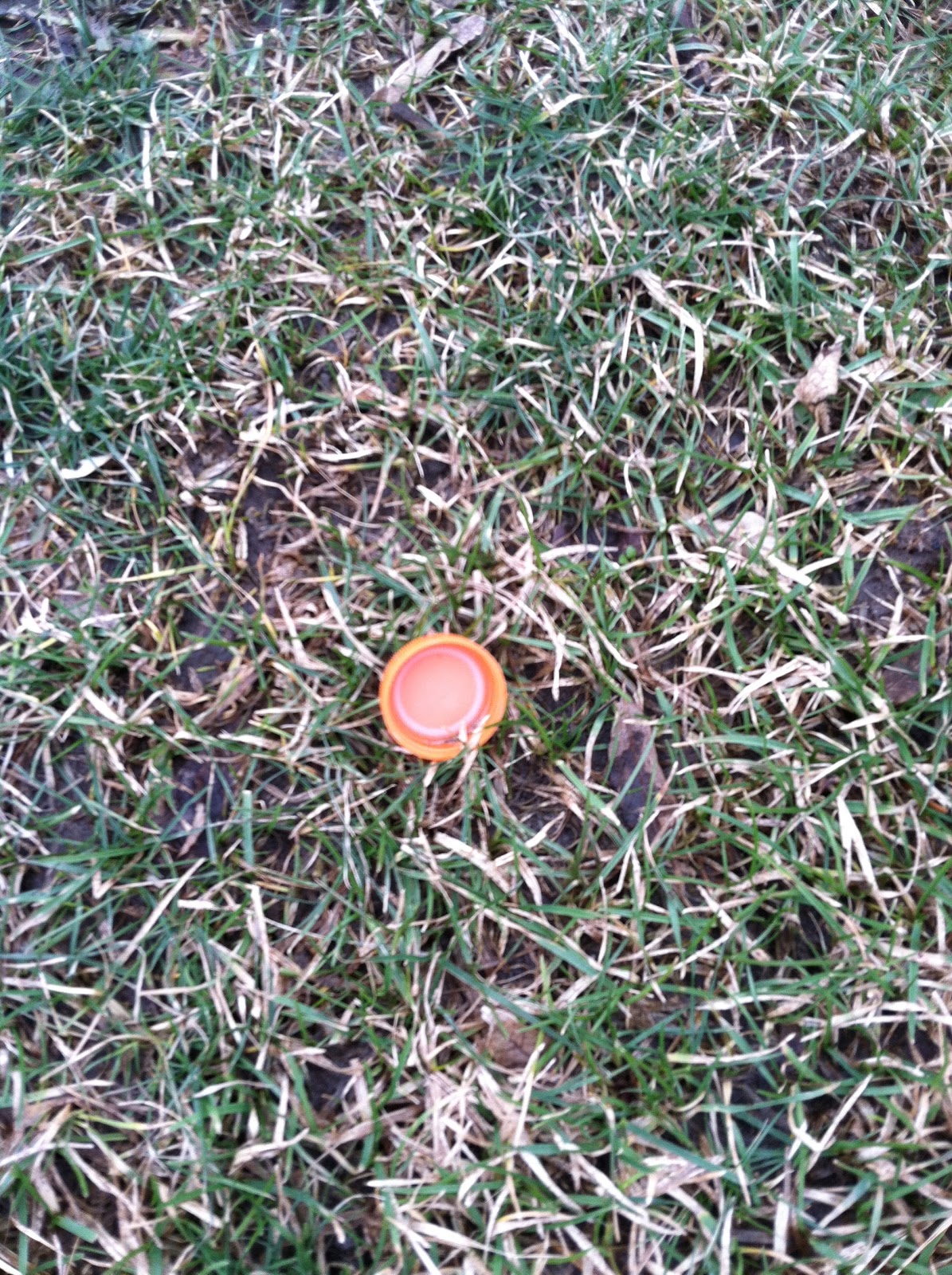 RST 342 The Outdoor Challenge "Orange Dust"