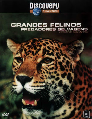 Grandes Felinos: Predadores Selvagens - DVDRip Dual Áudio