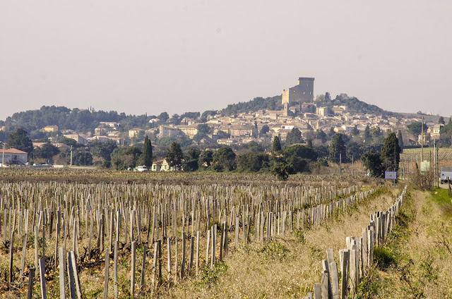 Vinuri Châteauneuf-du-Pape Franta