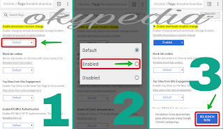 Chrome Flags Dari default ke Enable