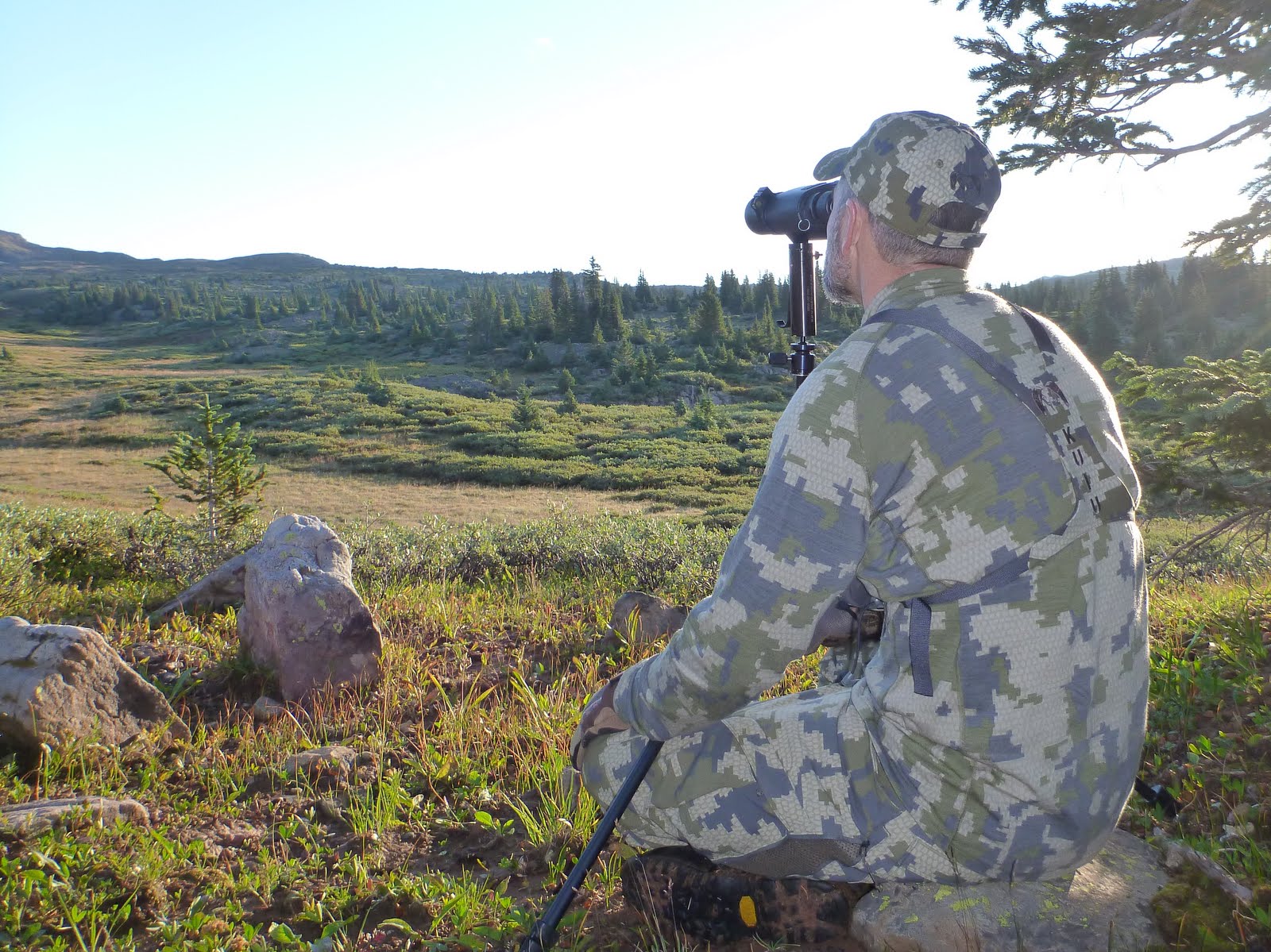 Colorado 2013 Archery Deer Hunt