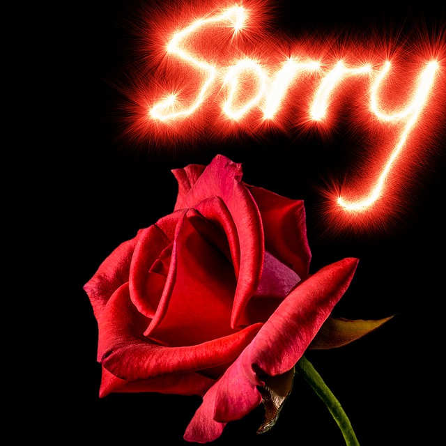 Sorry status for Whatsapp, Facebook, Sorry quotes in Hindi