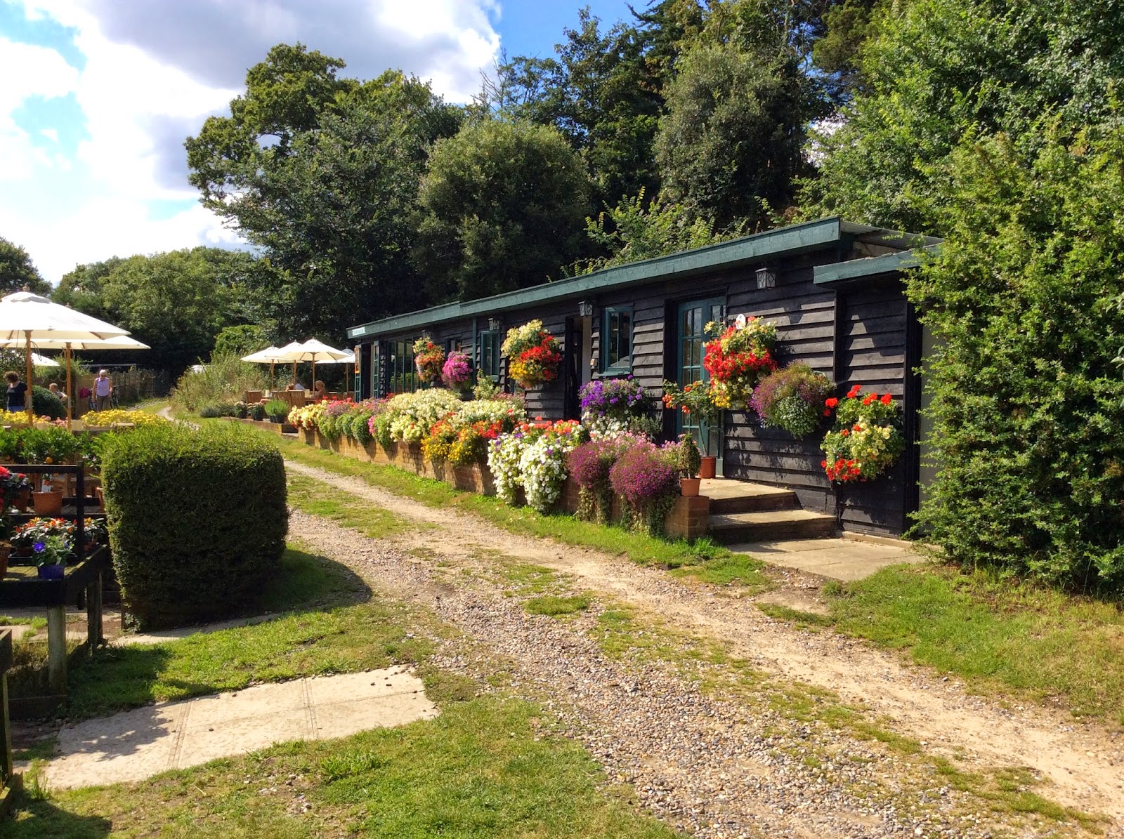 The World of Chocolate Dingle Hill Tea Rooms
