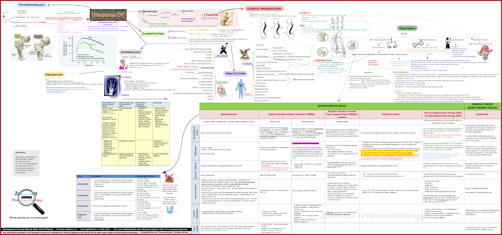 Osteoporosis System Disorder Template prntbl concejomunicipaldechinu