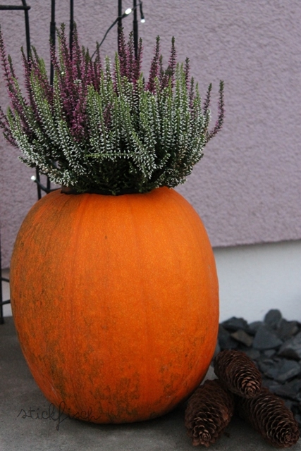 Halloween Kürbis Blumentopf - Dekorativer Pflanzkübel Für Sukkulenten