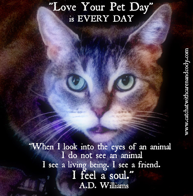 Cat and DOG Chat With Caren: Today and EVERY DAY: #LoveYourPet Day