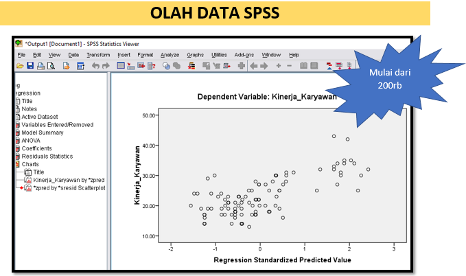 Jasa Olah Data Spss Murah