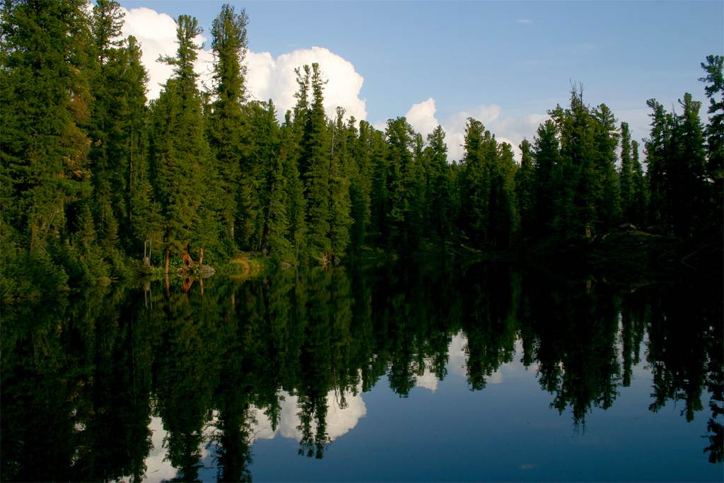 Большое медвежье озеро