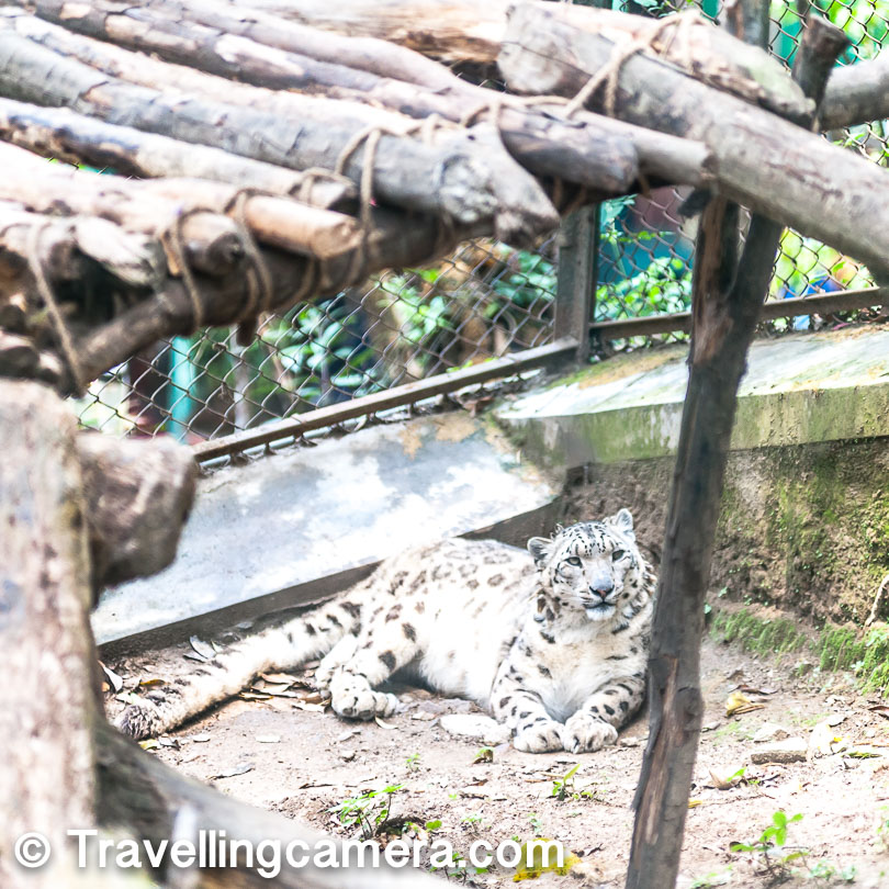 Darjeeling Zoo and its Exotic Animals