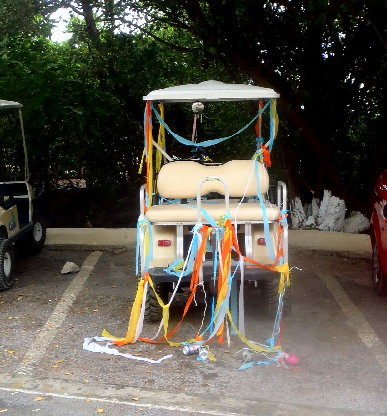 A Writer S Life In Mexico February 2017