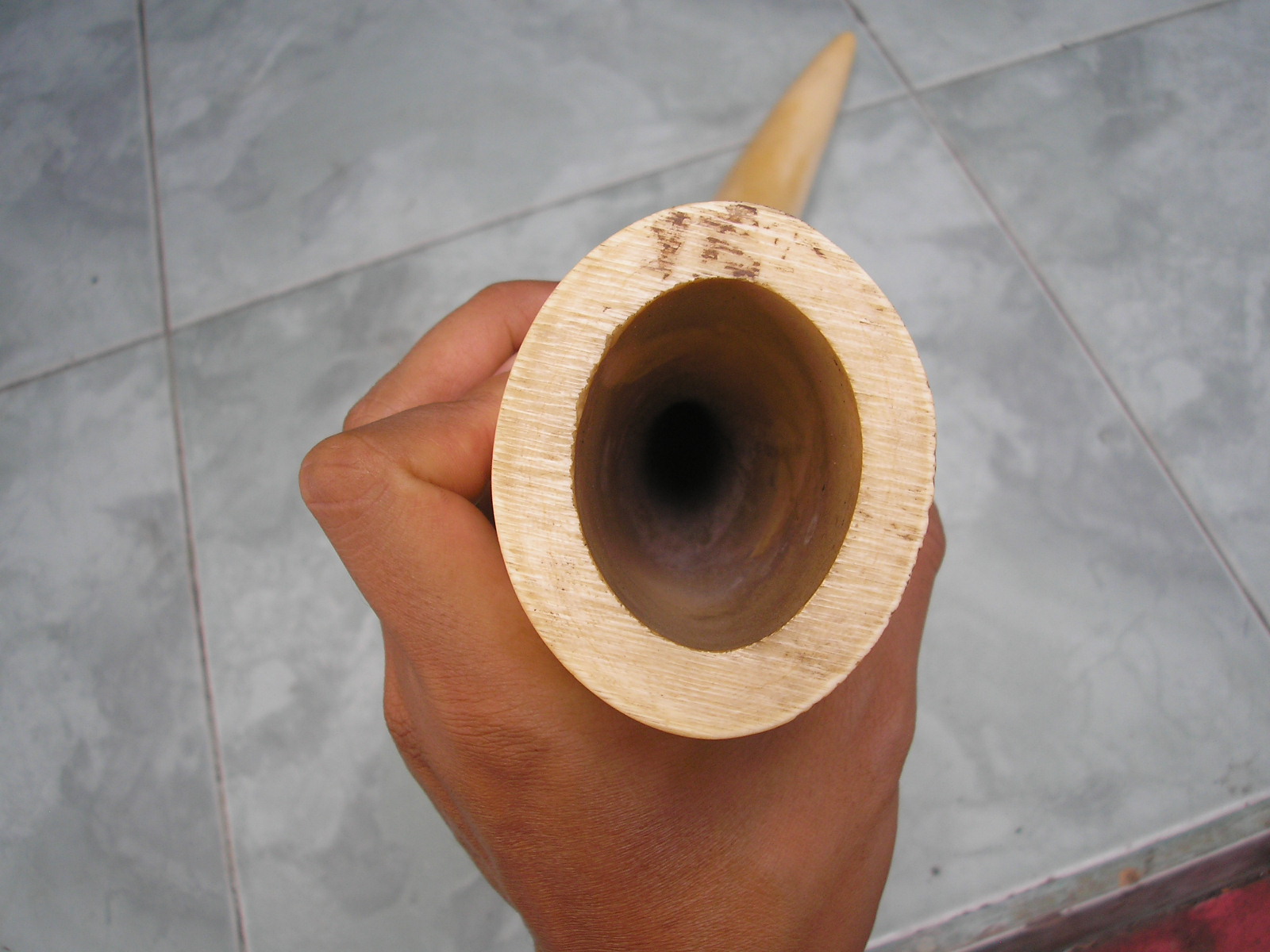 art shop abu malang: gading gajah