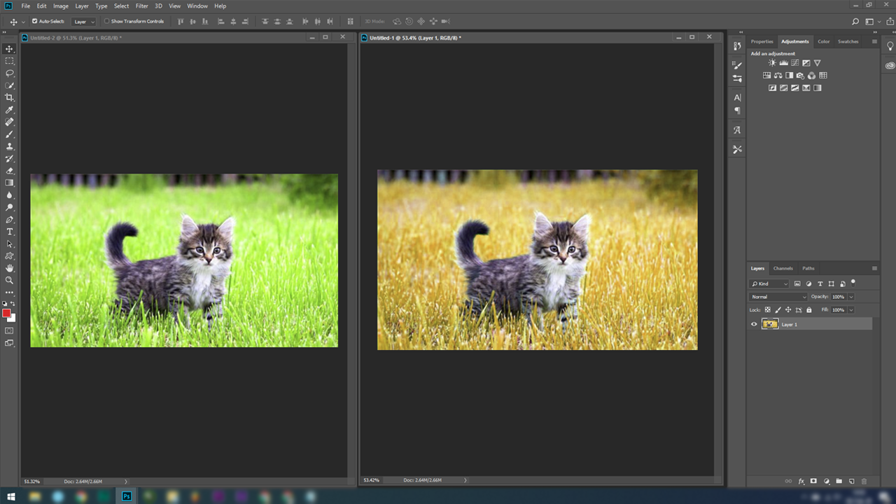 Fungsi Adobe Photoshop
