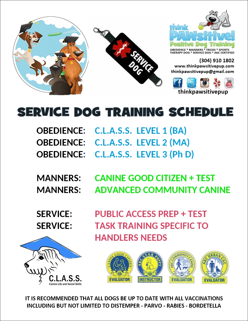 think Pawsitive Pup! - POSITIVE DOG TRAINING IN SOUTHERN WV / VA think Pawsitive Pup! - POSITIVE DOG TRAINING IN SOUTHERN WV / VA