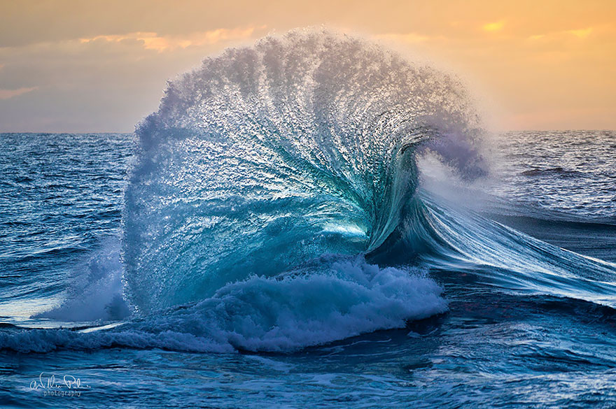 [Hình: wave-photography-ocean-sea-44__880.jpg]