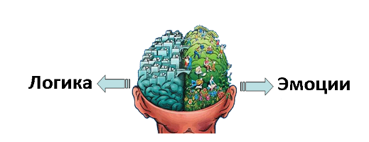эмоциональный мозг. мышление и эмоции. рассудок и эмоции. логика или эмоции. логика эмоция.