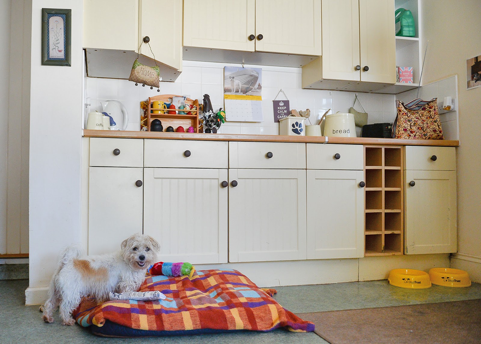 Hubble & Hattie Oakfield Life begins at 14!