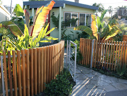 Tropical Front Yard Ideas