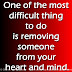 One of the most difficult thing to do is removing someone from your heart and mind.