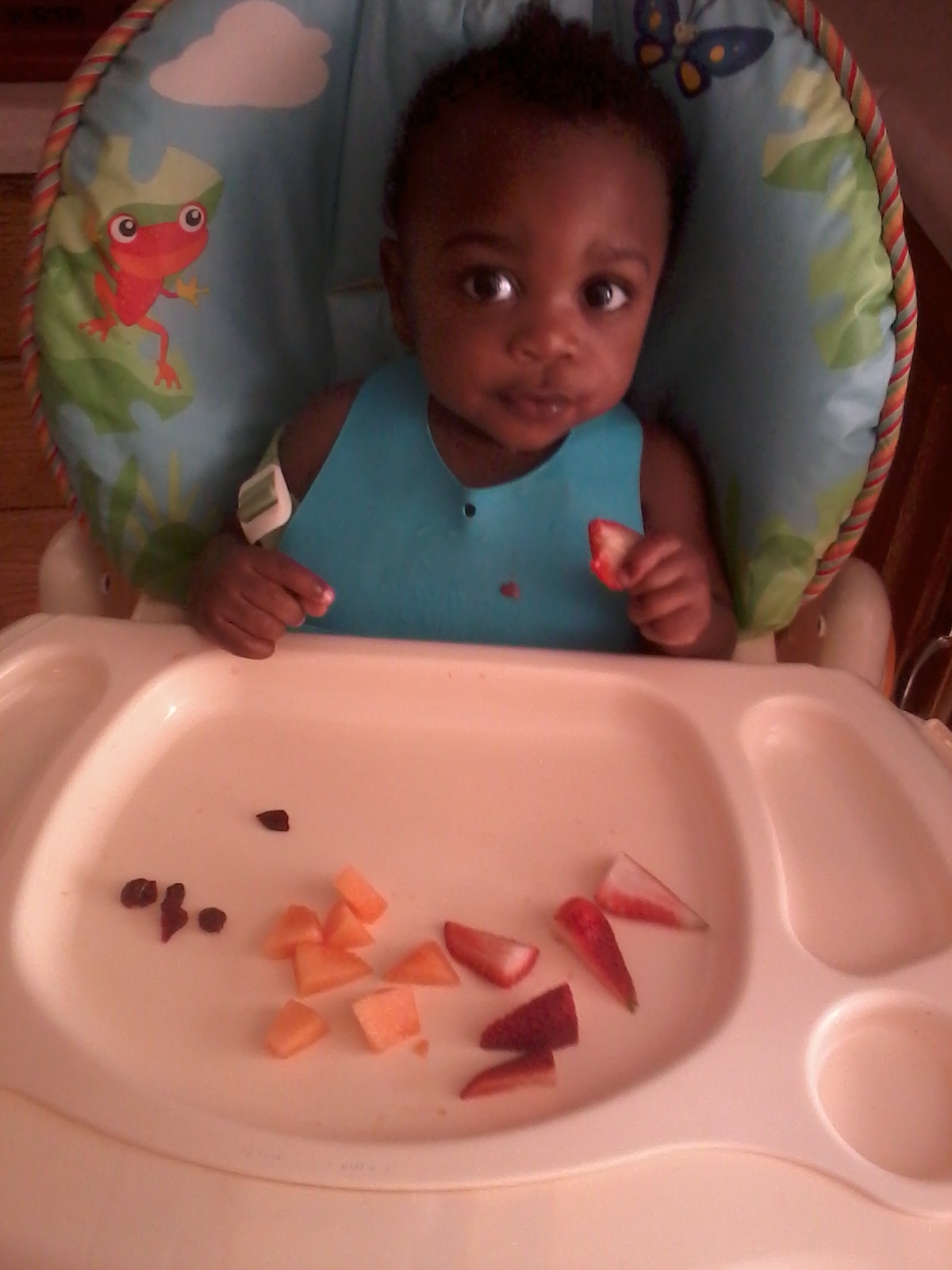 Mama And the Baby Toddler Meals (14 Months)