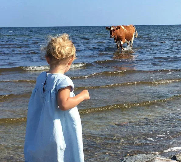 Princess Madeleine and Princess Leonore a new photos on holiday in ‎Öland‬