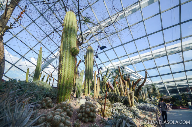 Singapore | Gardens by the Bay