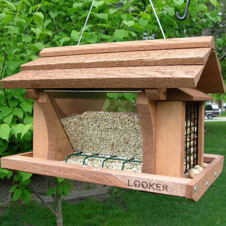 Bird In Everything Bird Feeder Types