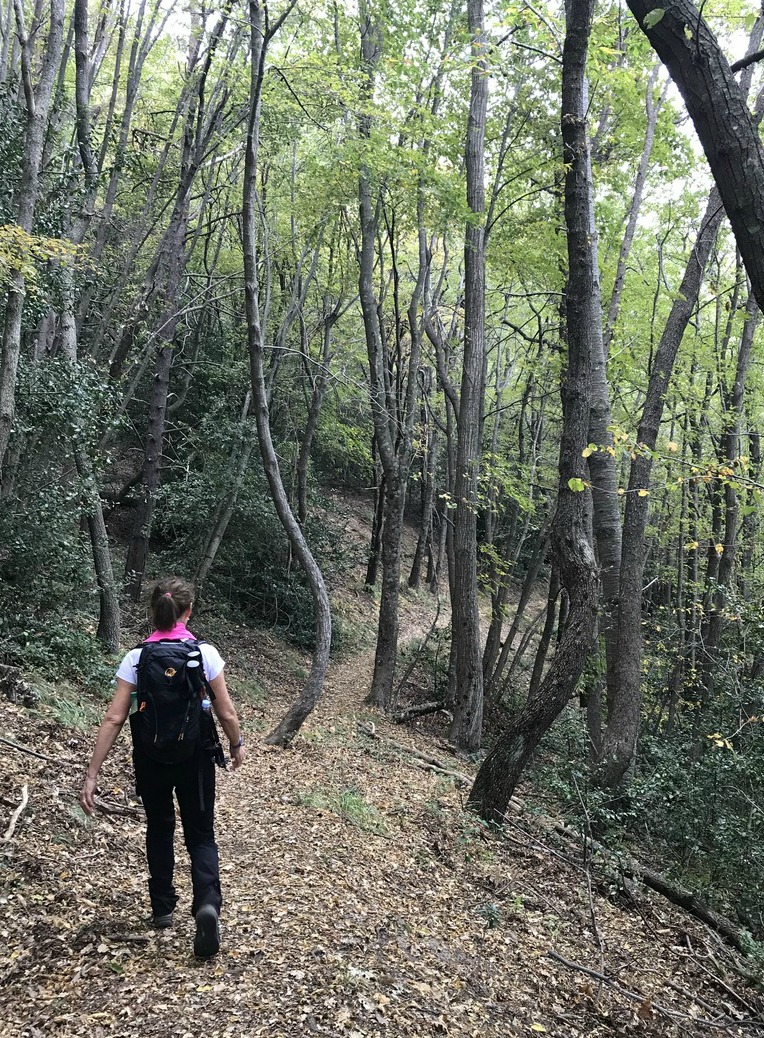 Trail near Col du Razet