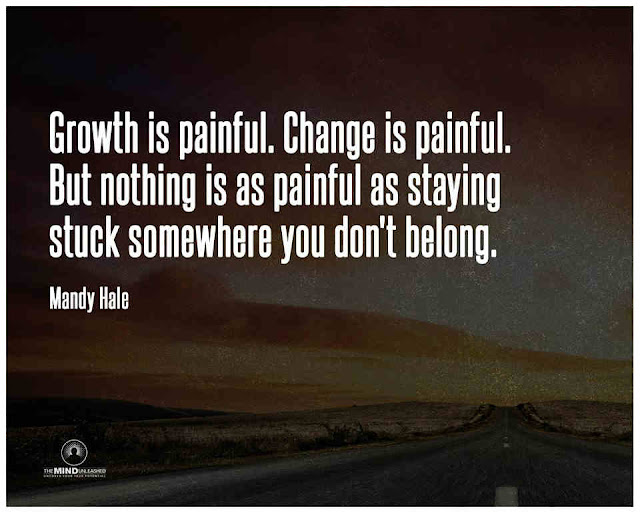 Growth is Painful, Change is Painful but nothing is as painful as