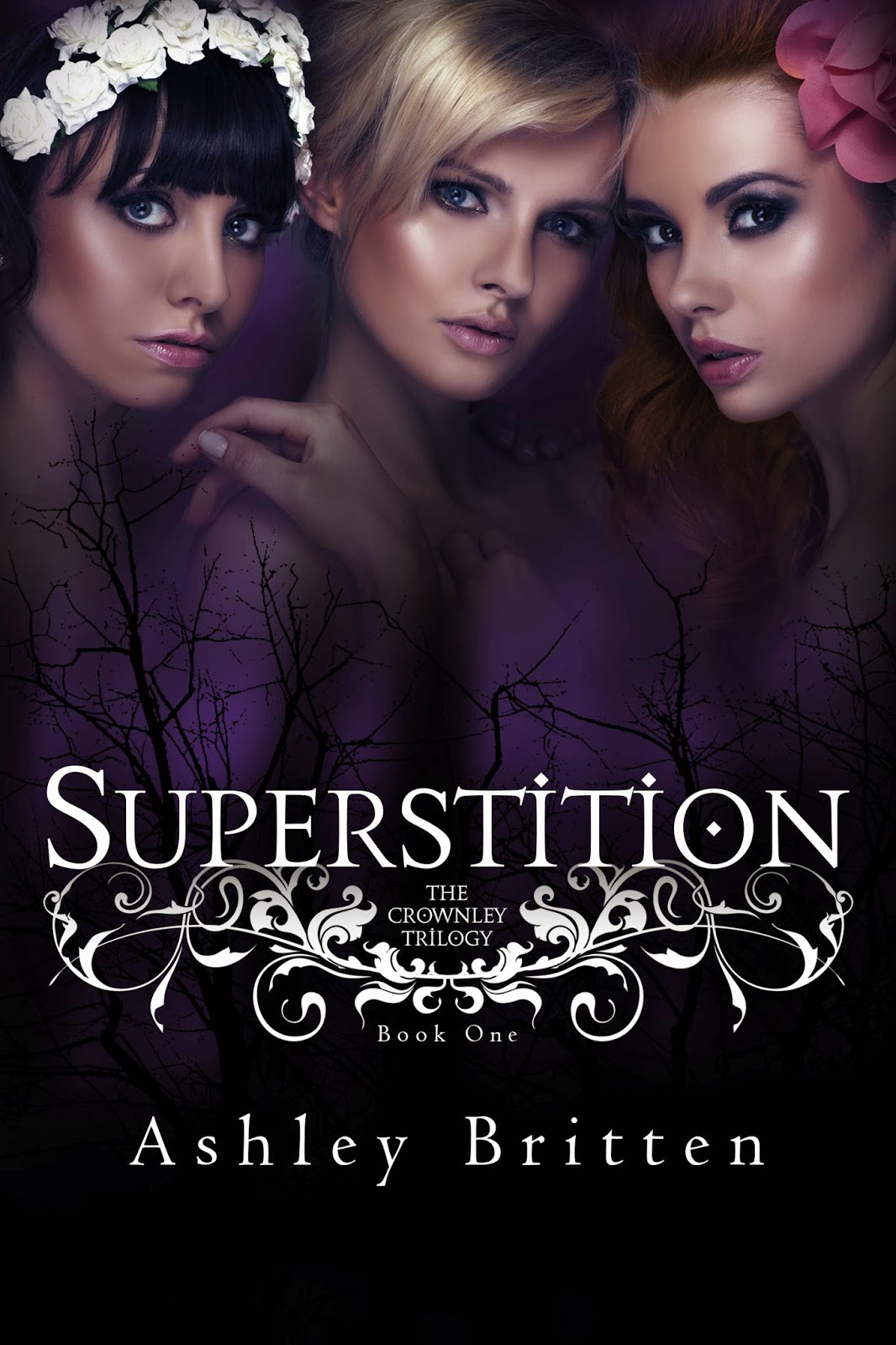 https://www.goodreads.com/book/show/21793634-superstition