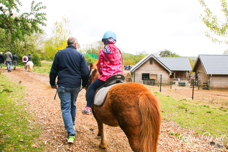 Jolinas Welt Centerparcs Bostalsee Der Kinderbauernhof Und Pony
