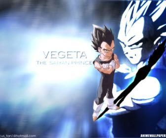 Vegeta On Fire Time Chamber Animation