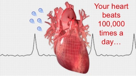 Make heart перевод. Время сердце. Heart Beat по-английски. Heart timer. A Heart that Beats.