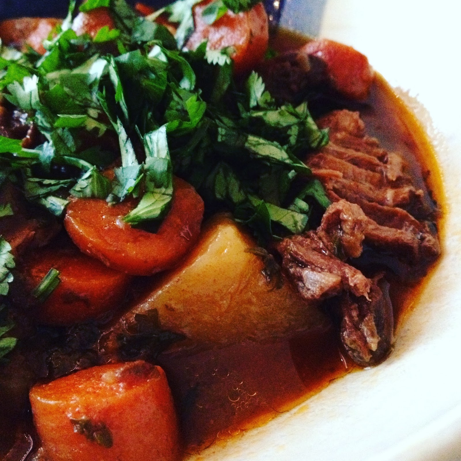 Hope For Healing Damn Good Crock Pot Beef Stew