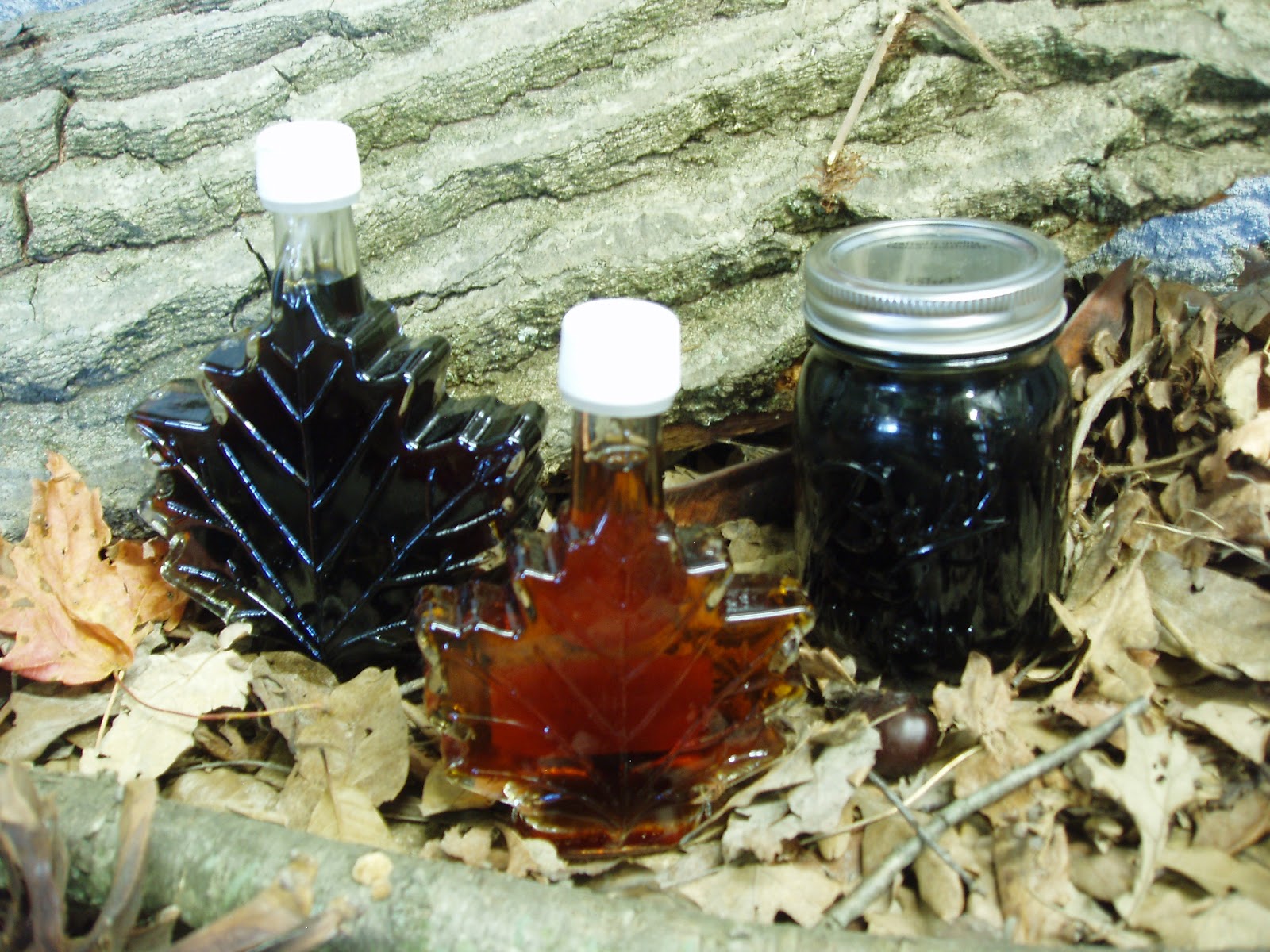 Maple Syrup Now for Sale