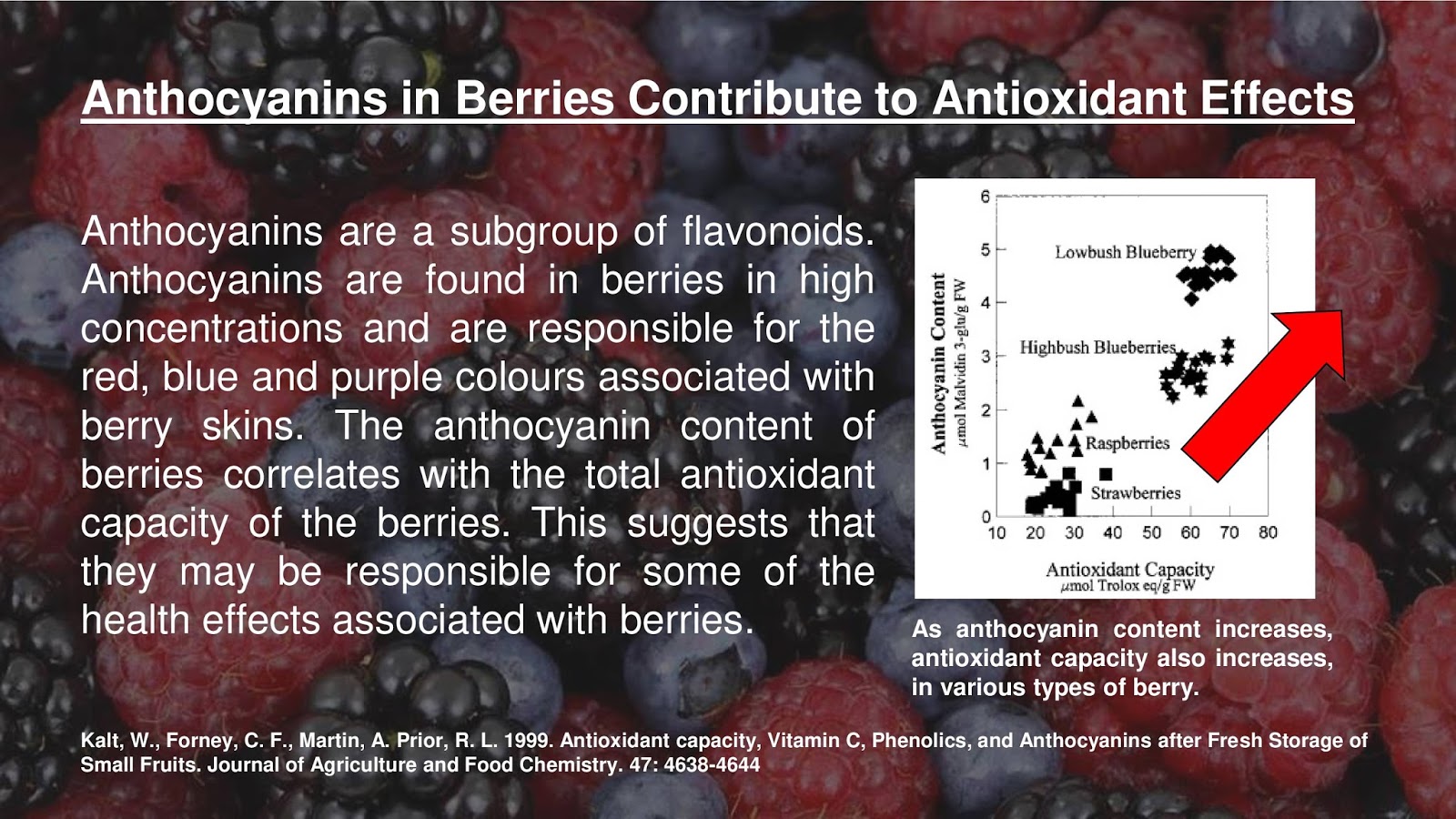Anthocyanins in Berries Contribute to Antioxidant