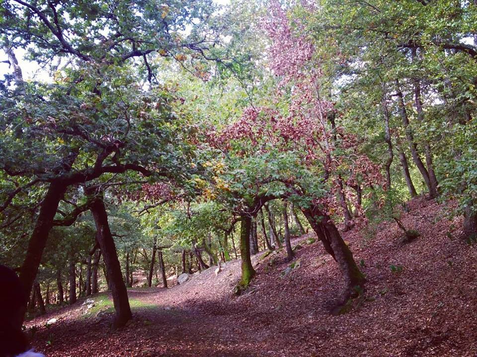 21e Randonnée Oued Zen Ain Drahem