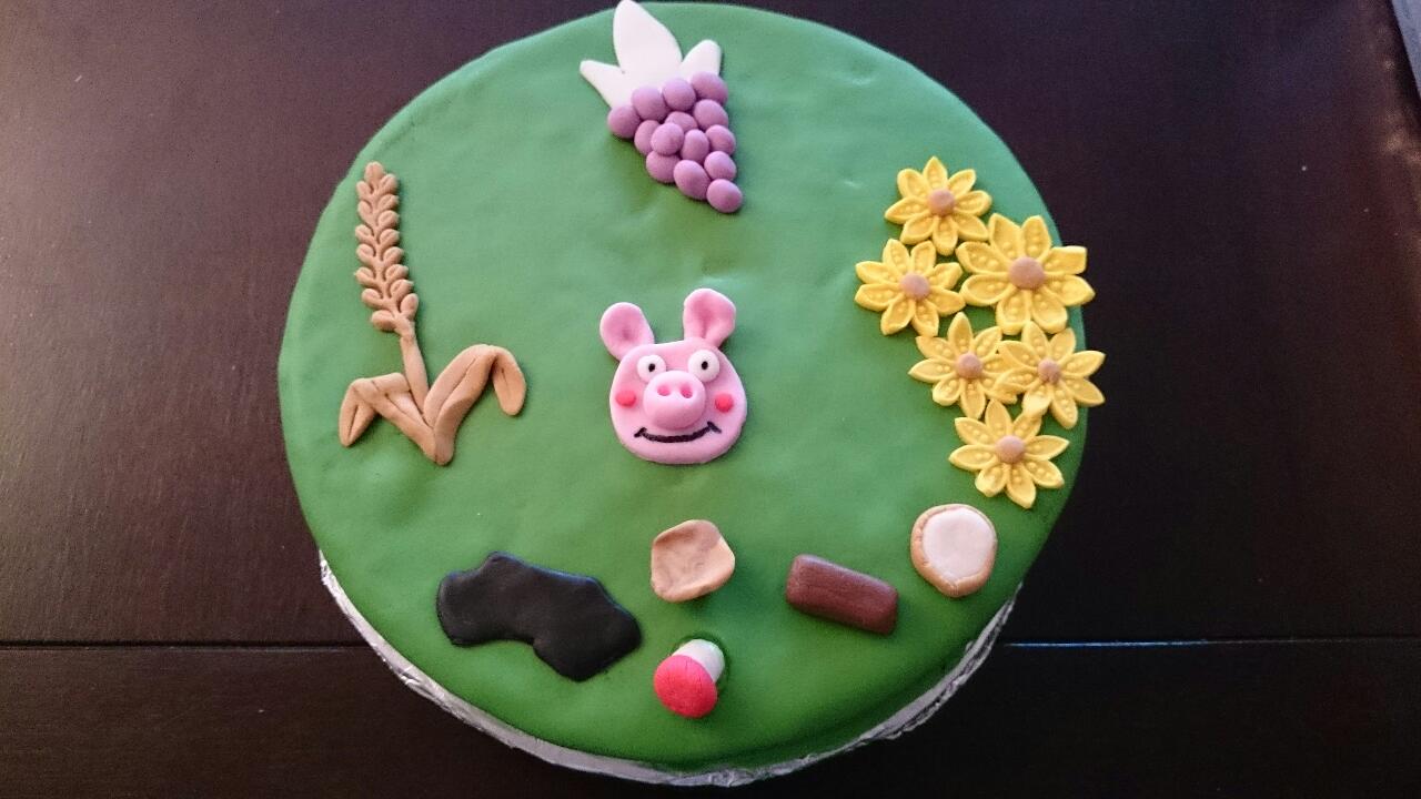 Les gateaux de Catherine: Gâteaux décoration pâte à sucre